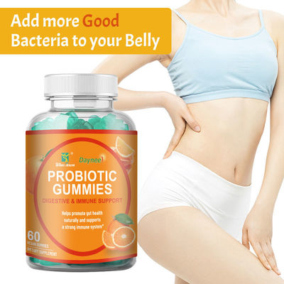 Halal Gelatin Probiotic Gummies for Immune and Digestive Support Shelf-Life 24 Months