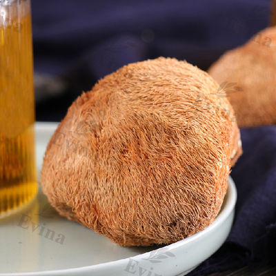 Stomach Tea for Ulcer Recovery and Protection of Gastric Intestinal Mucosa in Adults