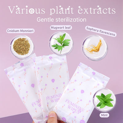 All Kinds of Size Yoni Wipes for Women Private Label Organic pH Balanced Cleaning
