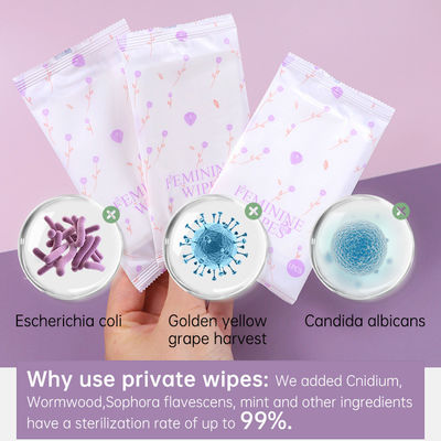 All Kinds of Size Yoni Wipes for Women Private Label Organic pH Balanced Cleaning