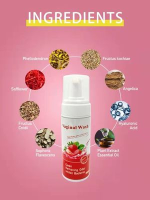 Experience the Power of Vaginal Cleansing with Our Newly Launched Foam Wash Lotion